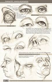 Drawing Eyes Anatomy And Perspective By Greyfin Realistic Drawings Eye Anatomy Anatomy Art