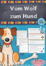 Vom Wolf Zum Hund Unterrichtsmaterial Im Fach Biologie Hunde Schulhund Wolf Hunde
