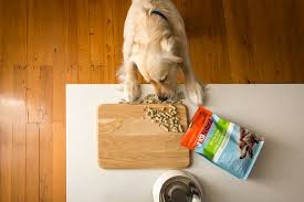 Canine caviar pet foods, inc.521. Natural Pet Food Group Pet Food As It Should Be Pure And Simple