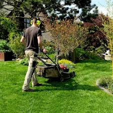 Aménagements pour jardins et espaces verts (plantations, gazon…), création de massifs, pose de clôtures et terrasses, mise en. Entretien De Jardin Tom Pousse Paysage