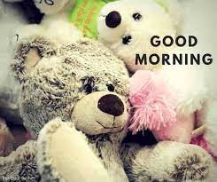 101 Cute Good Morning Teddy Bear Images Best Collection Good Night Teddy Bear Teddy Bear Images Cute Good Morning