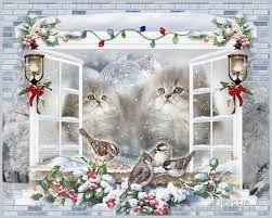 Leawinterofthekittens Foto Di Natale Immagini Di Natale Cartoline Di Natale