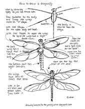 How To Draw Worksheets For The Young Artist Printable How To Draw A Dragonfly Worksheet Dragonfly Drawing Dragonfly Painting Drawings