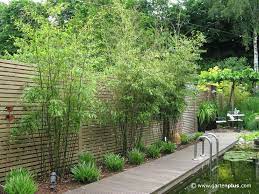 Garten Pflanzen Sichtschutz In 2020 Sichtschutz Garten Pflanzen Sichtschutz Pflanzen