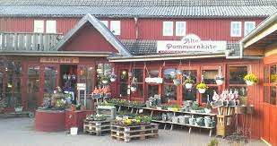 Alte Pommernkate Rambin Wirsindinsel Rugen Insel Rugen Rugen Insel