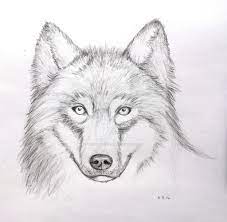 Pin By Debbie Roberts On Drawing Ideas Wolf Face Drawing Pencil Drawings Face Pencil Drawing