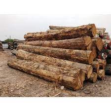 We are direct importers of exotic hardwoods. Burma Teak Wood At Rs 6000 Cubic Feet Nimtalla Kolkata Id 19841503362