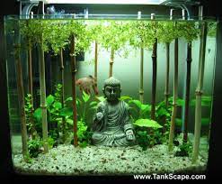 Pretty Awesome Aquarium I Am A Fan Of Bettas Much Better Than Keeping Them In A Little Bowl They Ne Cool Fish Tanks Aquarium Fish Tank Fish Tank Decorations