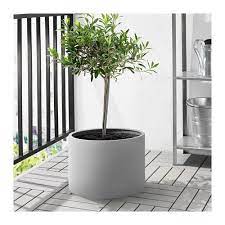 Frische Einrichtungsideen Und Erschwingliche Mobel Blumentopfe Fur Draussen Zimmerpflanzen Ideen Balkon Pflanzen