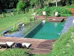 Pin By M On Real Estate Ideas In 2020 Backyard Pool Natural Pool Natural Swimming Ponds