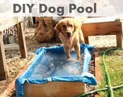 Diy Dog Pool Dog Pool Diy Dog Stuff Dog Playground