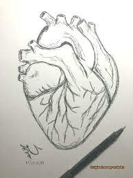 Art Drawings Tumblr Human Heart Drawing Easydrawing Human Heart Drawing Heart Drawing Pencil Art Drawings