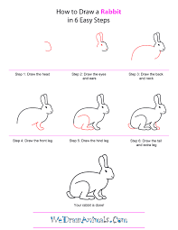 How To Draw A Rabbit Step By Step Png 600 776 Pixels Rabbit Drawing Bunny Drawing Animal Drawings
