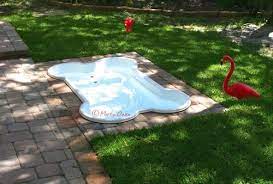 Create A Built In Dog Pool Just In Time For Summer Offbeat Home Life Dog Pool Dog Bone Pool Pet Resort