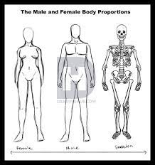 Realistic Full Body Human Figure Drawing Today we created a new guide on how to draw a female body.