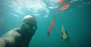 Swim Panic Free In Open Water Four Ways To Stop Fear Before It Bubbles Up Open Water Swimming Open Water Biking Workout