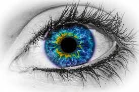 Beautiful Blue Eye Macro Hd Wallpaper Fotografia Macro Fotografia