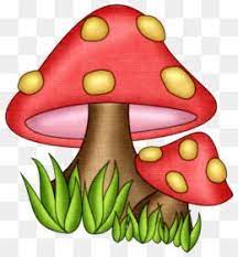 Mushroom Drawing Illustration All Kinds Of Mushrooms Free Download 1000 850 0 65 Mb Mushroom Drawing Clip Art Art Drawings For Kids