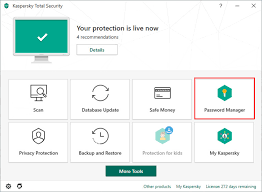 Password Manager In Kaspersky Total Security 20
