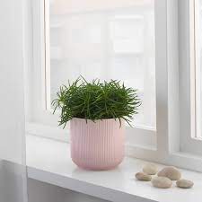 Gradvis Ikea Deutschland Topfblumen Blumentopf Design Ikea Blumen