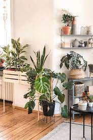 Pflanzenstander Mit Ikea Kisten Selber Bauen Wohnklamotte Pflanzenstander Indoor Pflanzen Dekor Pflanzen Dekor