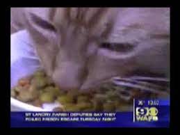They claim a number of companies continue to use euthanized pets to make dog food. Pet Food Exposed Youtube