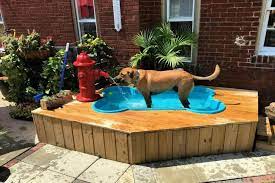 8 Easy Diy Dog Pool Ideas Pet Friendly Backyard Dog Pool Dog Friendly Backyard