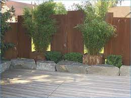 8 Best Sichtschutz Images On Pinterest Sichtschutz Garten Garten Pflanzen Pflanzen