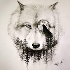Wolf Drawing Art Pencil On Instagram Wolf Sketch Cool Wolf Drawings Wolf Tattoo Design