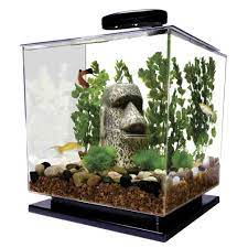 Funny Aquarium Decorations Small Fish Tanks Betta Fish Tank Aquarium Kit