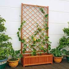 Sichtschutz Rankgitter Guernsey Mit Pflanzkasten Gunstig Online Kaufen Mein Schoner Garten Rankgitter Pflanzen Gartenprojekte