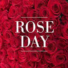 Happy rose day 2017 video: Happy Rose Day 2019 Know The Meaning And Significance Behind Each Rose Colour Before Gifting Them Pinkvilla
