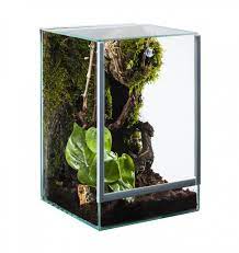 Terrarium Aus Glas 15x15x20 Cm Mit Falltur Fur Spinnen Gunstig Kaufen Im Koi Shop Reptile Tank Terrarium Tarantula Enclosure