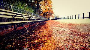 Wallpaper flare collects most beautiful hd wallpapers for pc, mobile and tablet desktop, including 720p, 1080p, 2k, 4k, 5k, 8k resolutions, all wallpapers are free download. Hd Pc Wallpaper 2019 Pixelstalk Net