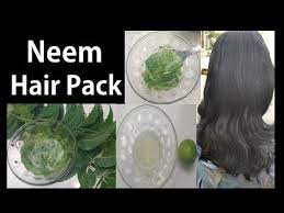 How To Make Neem Hair Pack At Home Home Remedies For Dandruff And Hair Fall Tnbn Tv Youtube Checks premature greying, prevents dandruff and promotes rich hair growth.