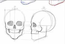 Pin On Drawings
