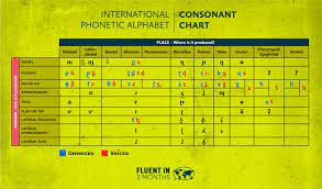 .hindi alphabet chart, urdu alphabet chart, assamese alphabet chart and english alphabet chart offered by indian book depot, delhi. The Ipa Alphabet How And Why You Should Learn The International Phonetic Alphabet With Charts