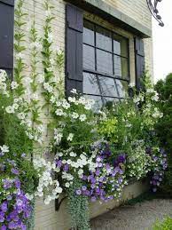 Flower Box For Balcony Beautiful Pictures Making Furniture Yourself Diy In 2020 Balkon Blumen Blumen In Einer Schachtel Balkon Pflanzen