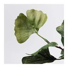 Smycka Kunstblume Ginkgo Grun Ikea Deutschland Kunstblume Kunstliche Blumen Ginkgo