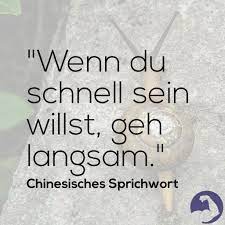 Wenn Du Schnell Sein Willst Geh Langsam Chinesisches Sprichwort Agilitat Zitate S Inspirierende Zitate Und Spruche Inspirierende Spruche Weisheiten Zitate