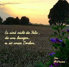 Wohl Wahr Diese Chinesische Weisheit Foto Entstand Beim Spaziergang Nachdenkliche Spruche Weisheiten Spruche