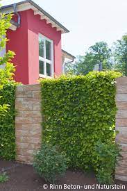 Es Muss Nicht Nur Immer Die Mauer Als Sichtschutz Herhalten Die Mit Unterbrechungen Gesetzte Freistehende Sichtschutzzaun Garten Bepflanzung Sichtschutzmauer