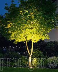 Bodeneinbauleuchten Rund Trittfest Symmetrische Lichtverteilung Led Bega Prediger Beleuchtung Garten Licht Im Garten Garten Und Outdoor