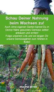 Schau Deiner Nahrung Beim Wachsen Zu Garten Selbstversorger Garten Gesundes Gemuse