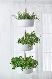 Bittergurka Ampel Weiss Ikea Deutschland Hangepflanzen Zimmer Ikea Garten Hangepflanzen