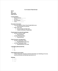 Your best cv format is not the format you are currently using. Free 5 Sample It Cv Templates In Pdf Ms Word