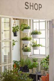 Bittergurka Ampel Weiss Ikea Deutschland Landschaftsbau Fur Kleinen Hinterhof Ikea Pflanzen Garten Landschaftsbau