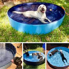 Kopeks Outdoor Portable Dog Swimming Pool Blue Large Chewy Com Dog Pool Dog Swimming Pools Dog Swimming