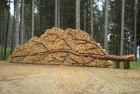 Fail Bilder Und Fail Videos Holzstapel Brennholz Landeskunst