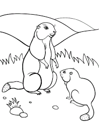 Two Marmota Monax On Groundhog Day Coloring Pages For Kids Bha Printable Groundhog Day Coloring Pages For Kids Malen